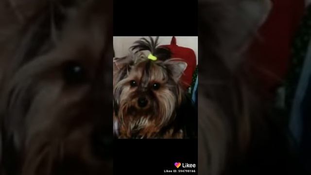 14 сентября 2020 г. смотреть онлайн