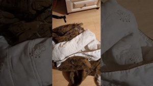 Мягкая подстилка для собаки .(это очень важно для её здоровья,особенно пожилым собакам)