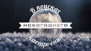 В поисках новогоднего настроения