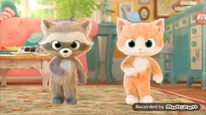 Энот и кот танцуют (скибиди па па)