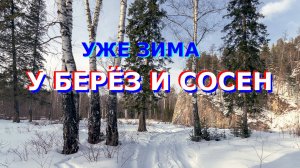 У берёз и сосен уже зима