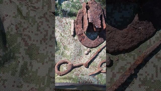 Результат поисков на копе14 Июня 2024 #metaldetecting #коп #coin #metaldetector #история #топ #funn