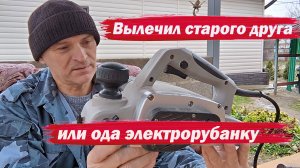 Вылечил верного друга