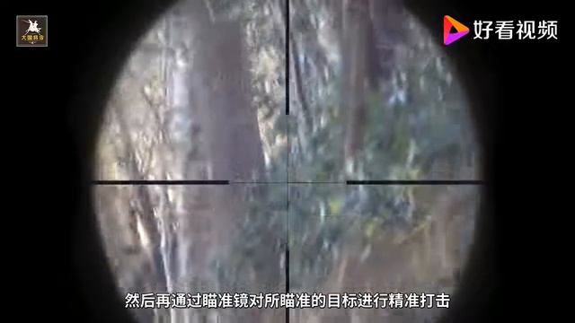 从狙击枪的瞄准镜里看1000米外景物，会是什么效果？狙击手不容易