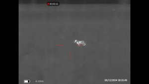 Еще несколько результативных вечеров охоты на шакала в Ростовских степях от Александра