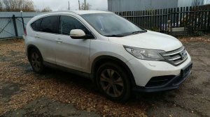 Как не снимая бампер легко поставить защитную сетку в бампер Honda CR-V IV для защиты радиатора