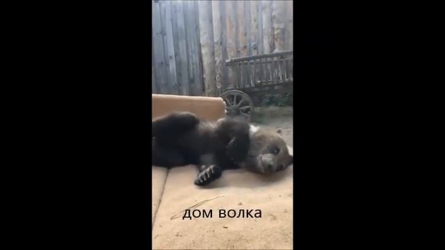Вася наслаждается