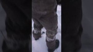 Продолжаем ,натаскивать Вегу часть 2!!!!!