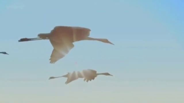 Пора размышлений 🍂🍁 | христианская песня