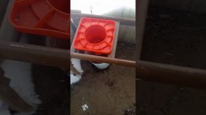 ЛПХ А&А!Конус для забоя бролей и птицы