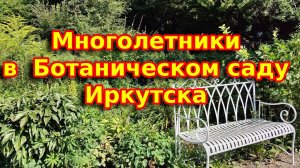 Многолетники и розы в Ботаническом саду ИГУ