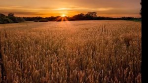 LA REBELLION DE SATAN ET LINTERVENTION DE JESUS