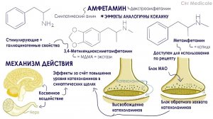 Амфетамин - Стимуляторы ЦНС