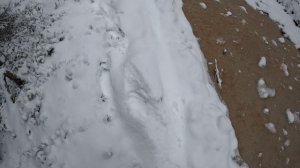 Декабрь на Удоре 2024г #1