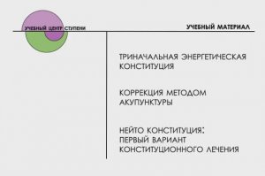 Коррекция энергетической конституции, постановка игл  (вариант 1). Су Джок