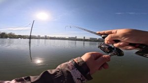 Рыбалка в Москве. Вроде Осень подступает. Лайт Джиг. 24 GFINPS-722L-S