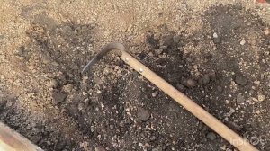 Дела тепличные. Февраль- март 2023