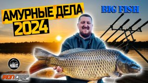 Поймали BIG FISH. Турнир "Амурные Дела 2024". Карпфишинг.