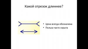 Екатерина Дворецкая Предпринимательство