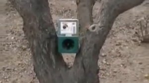 Биоакустический отпугиватель птиц AntiBird Pro