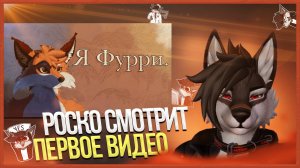 🐺 Роско смотрит Rive - Я Фурри... 🦊