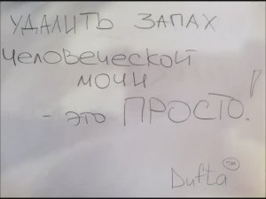 Совет как убрать запах мочи человека просто и эффективно.