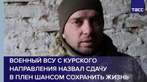 Военный ВСУ с курского направления назвал сдачу в плен шансом сохранить жизнь