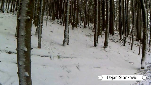 Driven Wild Boar Hunt In Bosnia Using Dogs (Lov na divlje svinje sa psima), by Dejan Stankovic V342