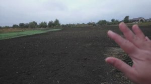 МАМСКОЕ ЛЮБОПЫТСТВО! ЛУЧШЕ БЫ НЕ СМОТРЕЛА!!!