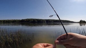 Спиннинг в Обед. Рыбалка по колено. Прекрасное место. Гибкий Спиннинг.