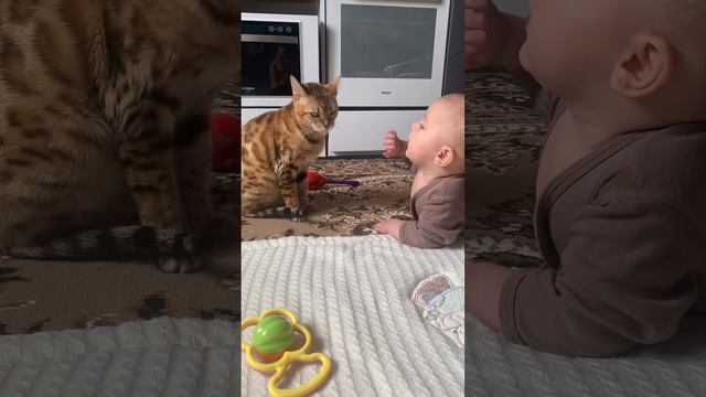 Как бенгальская кошка относится к маленьким детям❤️