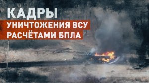 Уничтожение живой силы и техники ВСУ на Красноармейском направлении