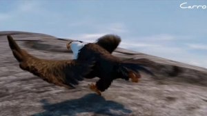 могучий орёл