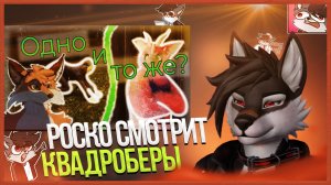 🐺 Роско смотрит Rive - Квадробика и Фурри.✅ Коротко о том, почему все обратили внимание на Фурри