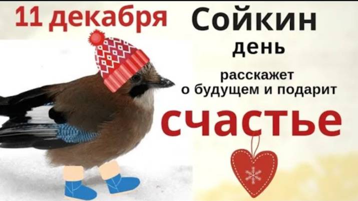 11 декабря Сойкин день. Этот день поможет заглянуть в будущее и исполниться заветному желанию