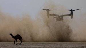 1 Skydive Pharaohs ноябрь 2024 Парашютные прыжки над пирамидами плато Гизы