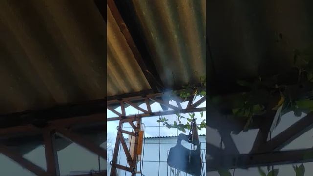 #плов в афганском казане. #Казан #пловсговядиной #афганскийказан