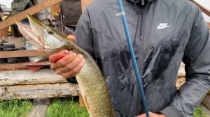 Батамай трип Аймахтар эдэр колуонэ 2021