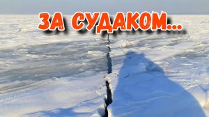 За Судаком на Обское море | Рецепт лесного чая в термос | Тест термоса АрктикА