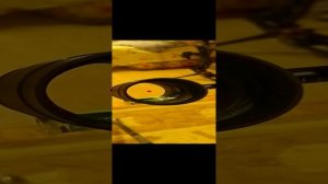 Красная точка в прицеле блочного лука