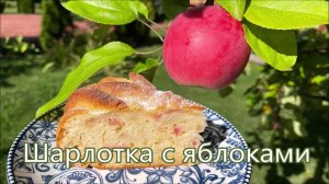 Простой классический рецепт шарлотки с яблоками, невероятно вкусно. Всегда получается.