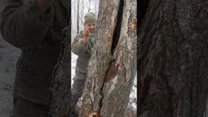 Учим Вегу! Всё как надо!