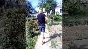Стрельба по воробью