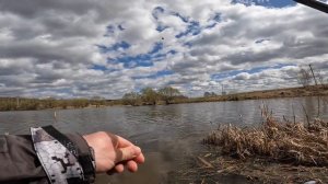 Ловля Плотвы. Рыбалка на Поплавок. МАХ. Живая Насадка.