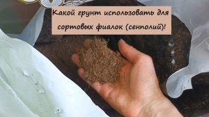 Какой грунт использовать для сортовых фиалок (сенполий)!