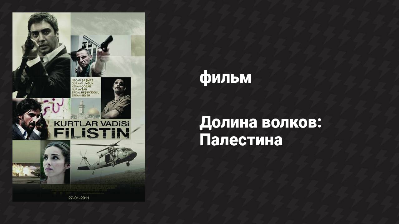 Долина волков: Палестина (фильм, 2011)