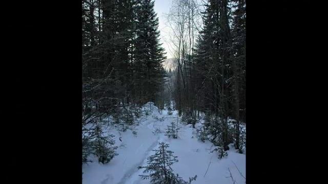 Зима в Сибири