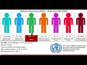 Калькулятор индекса массы тела (ИМТ) в телеграм боте - "Здоровый образ жизни (ЗОЖ)"