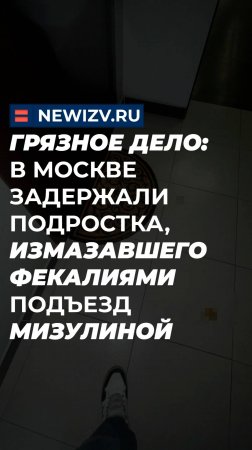 Грязное дело: в Москве задержали подростка, измазавшего фекалиями подъезд Мизулиной