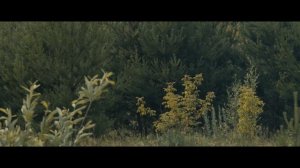 Героям СВО посвящается Краснодарский край
